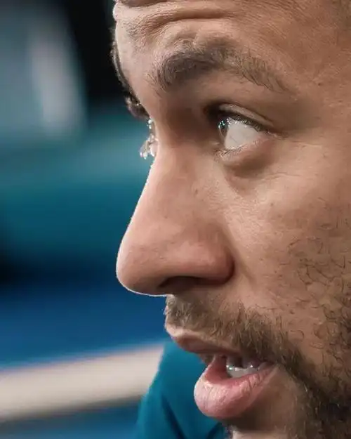 其主要依靠 其主要依靠